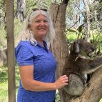  Powell Koala, Cleland Wildlife Park, SA.1
